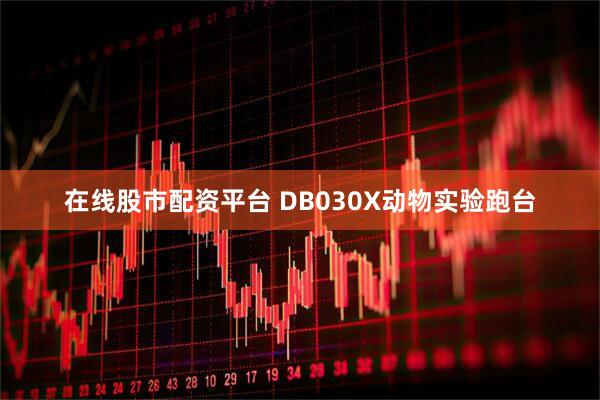 在线股市配资平台 DB030X动物实验跑台