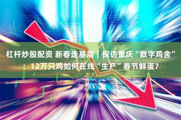 杠杆炒股配资 新春走基层｜探访重庆“数字鸡舍”：12万只鸡如何在线“生产”春节鲜蛋？