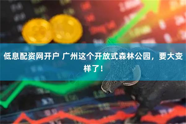 低息配资网开户 广州这个开放式森林公园,要大变样了!
